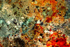 FEINT print (detail #1)