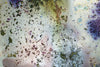 FEINT print (detail #3)