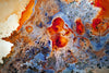 FEINT print (detail #5)